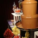 Chocolate Fountains Australia
