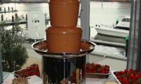A chocolate fountain buffet awaits the staff at the ADAPS Christmas Party.