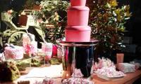 A pink chocolate fountain makes a stunning statement at this charity event.