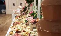 Can it get any better than this grazing table with a chocolate fountain.