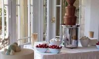 Any special event is special when you add a chocolate fountain.